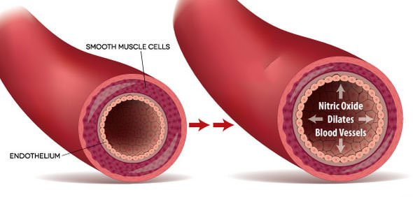 wake-forest-university-publishes-mechanism-of-action-reseach-h-wave